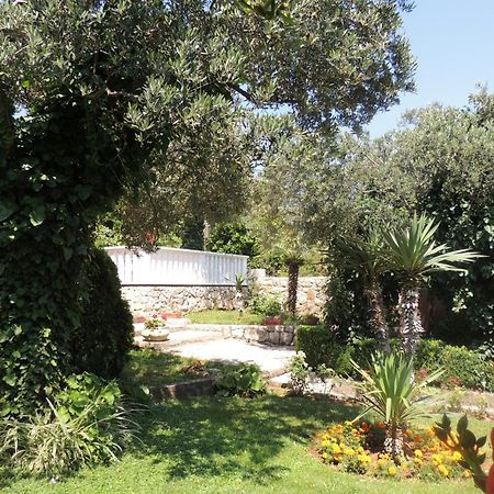Apartments Travarevic Dubrovnik Eksteriør billede